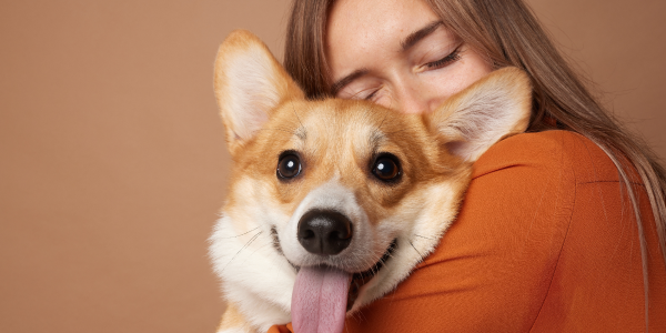 Mlada žena grli psa, ljubimac sa isplaženim jezikom gleda u kameru